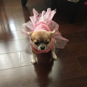 Meet your Posher, Sophia